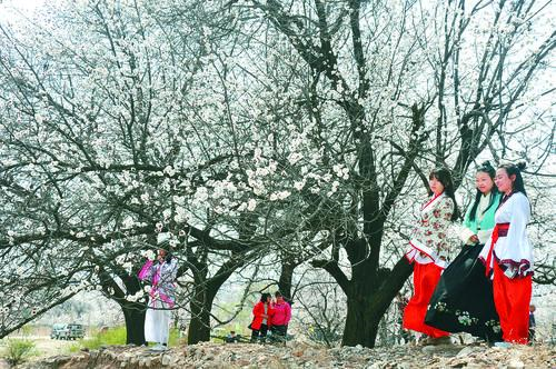 世界OL8868交易平台 banner 安全交易